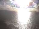 ./images/koeye/fitz-hugh/20250420/fitz-hugh20250420_174502.jpg