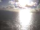 ./images/koeye/fitz-hugh/20250420/fitz-hugh20250420_175002.jpg