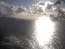 ./images/koeye/fitz-hugh/20250420/fitz-hugh20250420_180502.jpg