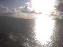./images/koeye/fitz-hugh/20250420/fitz-hugh20250420_181002.jpg