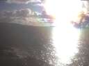 ./images/koeye/fitz-hugh/20250420/fitz-hugh20250420_182002.jpg