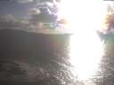 ./images/koeye/fitz-hugh/20250420/fitz-hugh20250420_182502.jpg