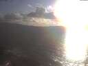 ./images/koeye/fitz-hugh/20250420/fitz-hugh20250420_190002.jpg