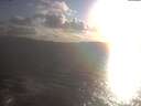 ./images/koeye/fitz-hugh/20250420/fitz-hugh20250420_190502.jpg
