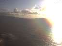 ./images/koeye/fitz-hugh/20250420/fitz-hugh20250420_192002.jpg