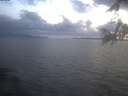 ./images/koeye/fitz-hugh/20250420/fitz-hugh20250420_204502.jpg