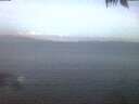 ./images/koeye/fitz-hugh/20250421/fitz-hugh20250421_054002.jpg