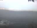 ./images/koeye/fitz-hugh/20250421/fitz-hugh20250421_055501.jpg