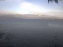 ./images/koeye/fitz-hugh/20250421/fitz-hugh20250421_070502.jpg