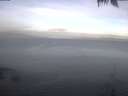./images/koeye/fitz-hugh/20250421/fitz-hugh20250421_073002.jpg