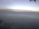 ./images/koeye/fitz-hugh/20250421/fitz-hugh20250421_080501.jpg