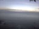 ./images/koeye/fitz-hugh/20250421/fitz-hugh20250421_081001.jpg