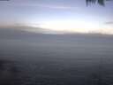 ./images/koeye/fitz-hugh/20250421/fitz-hugh20250421_082001.jpg