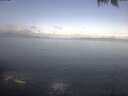 ./images/koeye/fitz-hugh/20250421/fitz-hugh20250421_085501.jpg