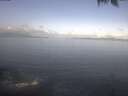 ./images/koeye/fitz-hugh/20250421/fitz-hugh20250421_091001.jpg