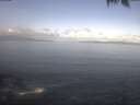 ./images/koeye/fitz-hugh/20250421/fitz-hugh20250421_091502.jpg