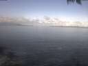 ./images/koeye/fitz-hugh/20250421/fitz-hugh20250421_092502.jpg