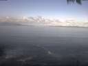 ./images/koeye/fitz-hugh/20250421/fitz-hugh20250421_093002.jpg