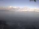 ./images/koeye/fitz-hugh/20250421/fitz-hugh20250421_093502.jpg