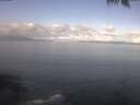 ./images/koeye/fitz-hugh/20250421/fitz-hugh20250421_094002.jpg