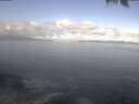 ./images/koeye/fitz-hugh/20250421/fitz-hugh20250421_094502.jpg