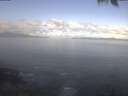 ./images/koeye/fitz-hugh/20250421/fitz-hugh20250421_095002.jpg