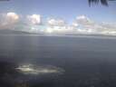./images/koeye/fitz-hugh/20250421/fitz-hugh20250421_102002.jpg