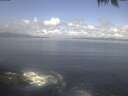 ./images/koeye/fitz-hugh/20250421/fitz-hugh20250421_103002.jpg