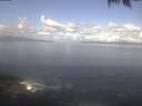 ./images/koeye/fitz-hugh/20250421/fitz-hugh20250421_104002.jpg