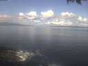 ./images/koeye/fitz-hugh/20250421/fitz-hugh20250421_104502.jpg