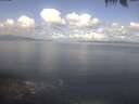 ./images/koeye/fitz-hugh/20250421/fitz-hugh20250421_105002.jpg