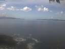./images/koeye/fitz-hugh/20250421/fitz-hugh20250421_124502.jpg