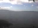 ./images/koeye/fitz-hugh/20250421/fitz-hugh20250421_145001.jpg