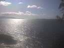./images/koeye/fitz-hugh/20250421/fitz-hugh20250421_161002.jpg