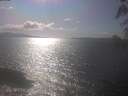 ./images/koeye/fitz-hugh/20250421/fitz-hugh20250421_163002.jpg