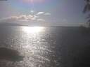 ./images/koeye/fitz-hugh/20250421/fitz-hugh20250421_163502.jpg