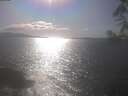 ./images/koeye/fitz-hugh/20250421/fitz-hugh20250421_164502.jpg