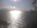 ./images/koeye/fitz-hugh/20250421/fitz-hugh20250421_165002.jpg