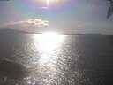 ./images/koeye/fitz-hugh/20250421/fitz-hugh20250421_165502.jpg