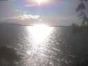 ./images/koeye/fitz-hugh/20250421/fitz-hugh20250421_170002.jpg