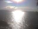 ./images/koeye/fitz-hugh/20250421/fitz-hugh20250421_170502.jpg