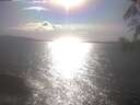 ./images/koeye/fitz-hugh/20250421/fitz-hugh20250421_171002.jpg