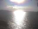 ./images/koeye/fitz-hugh/20250421/fitz-hugh20250421_171502.jpg