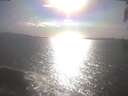 ./images/koeye/fitz-hugh/20250421/fitz-hugh20250421_172502.jpg