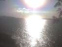 ./images/koeye/fitz-hugh/20250421/fitz-hugh20250421_173002.jpg
