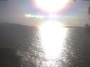 ./images/koeye/fitz-hugh/20250421/fitz-hugh20250421_173501.jpg