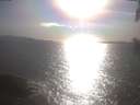 ./images/koeye/fitz-hugh/20250421/fitz-hugh20250421_174001.jpg