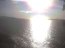 ./images/koeye/fitz-hugh/20250421/fitz-hugh20250421_174501.jpg