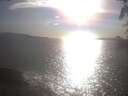 ./images/koeye/fitz-hugh/20250421/fitz-hugh20250421_175001.jpg