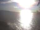 ./images/koeye/fitz-hugh/20250421/fitz-hugh20250421_175501.jpg